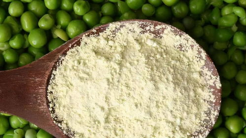 双塔食品 技术创新持续打造豌豆蛋白新高地